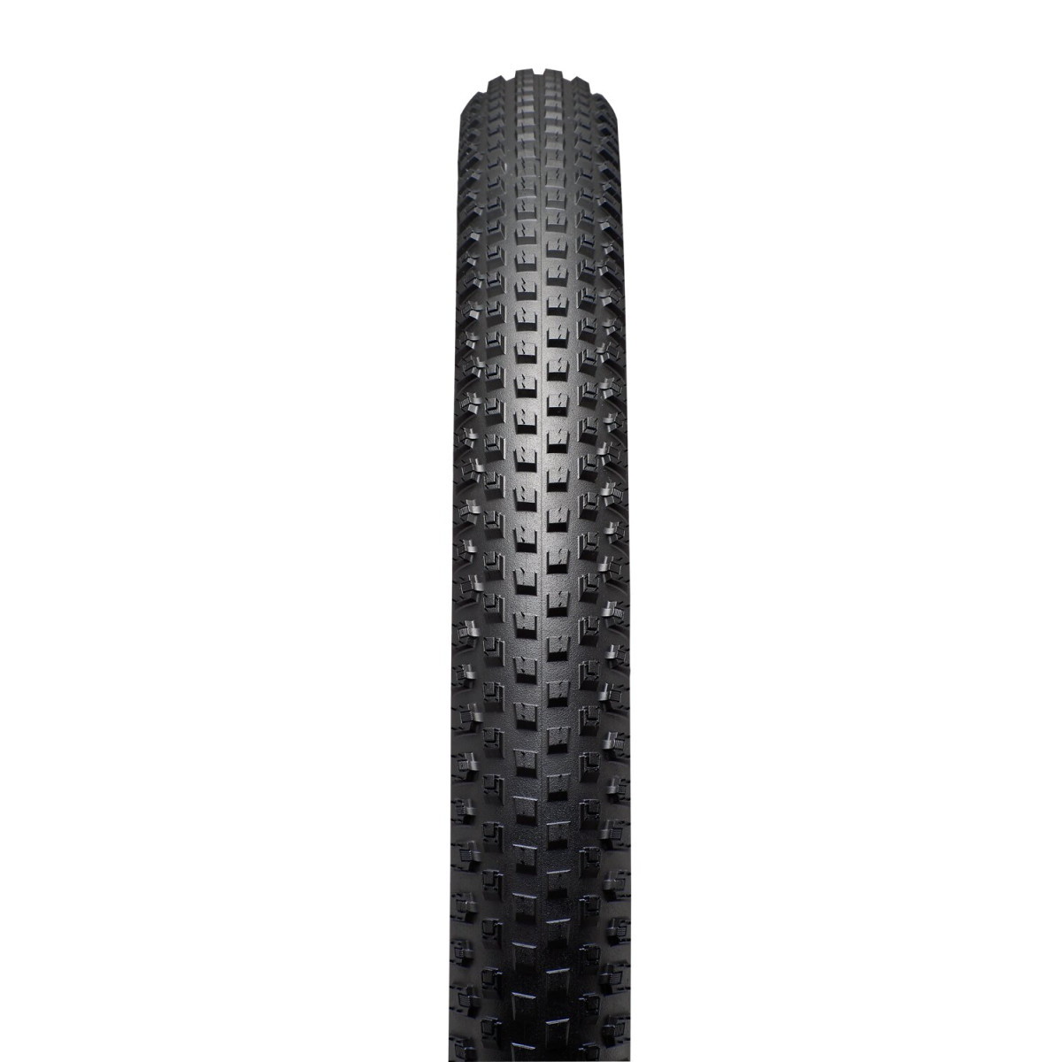 Specialized Renegade Control 2Bliss Ready T5 29