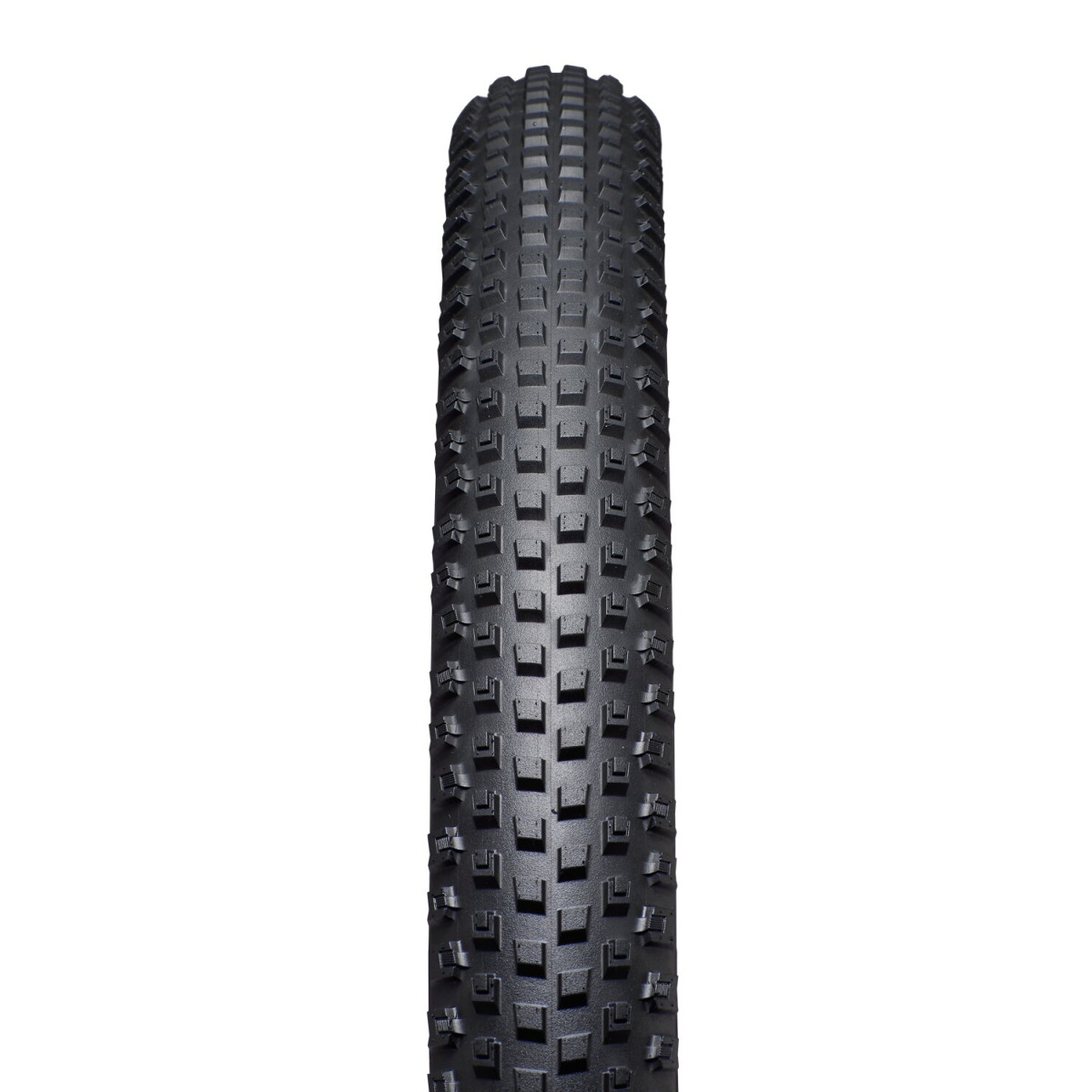 Specialized Renegade Control 2Bliss Ready T5 29