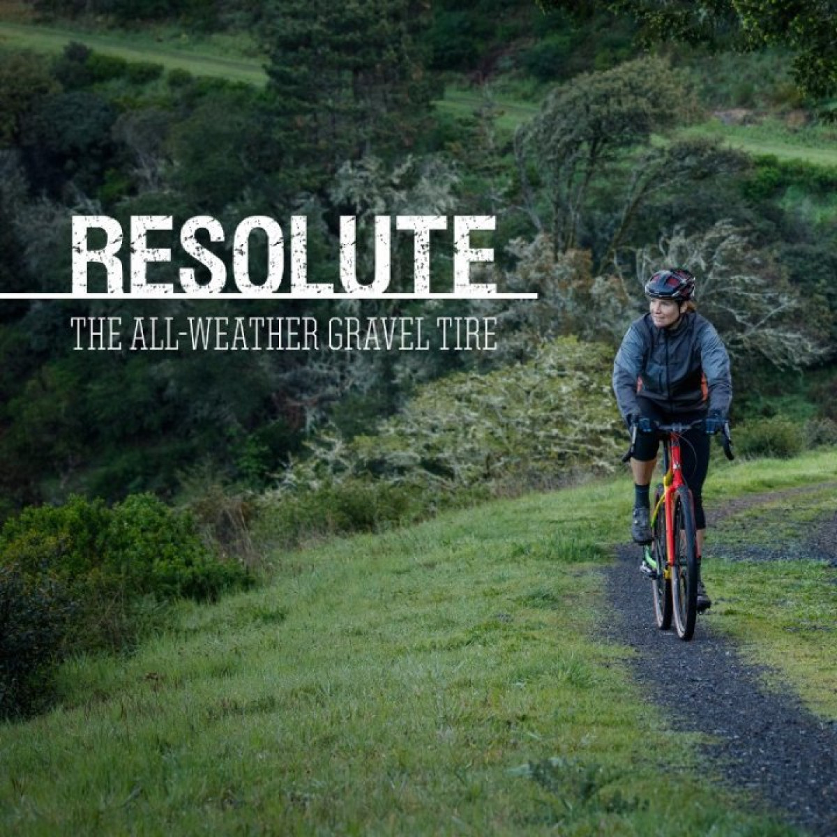 WTB Resolute 28