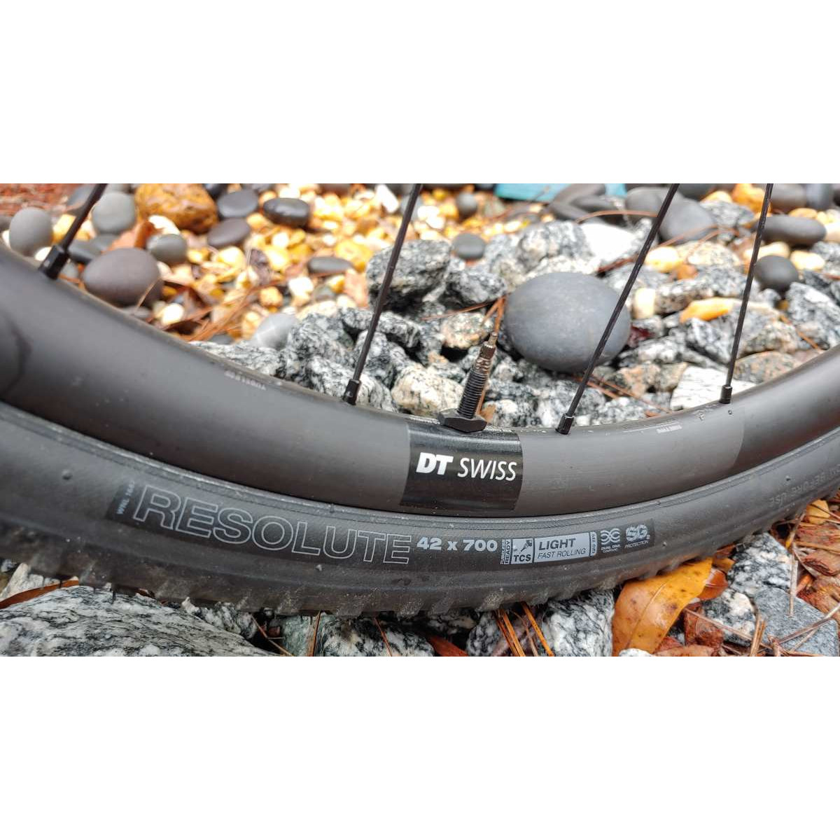 WTB Resolute 28